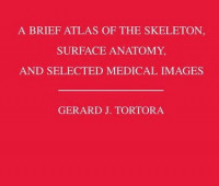 A brief atlas of the skeleton, surface anatomy, and selected medical images