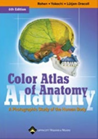 Color atlas of anatomy : a photographic study of the human body, 6th ed. / Johannes W. Rohen, Chihiro Yokochi, Elke Lütjen-Drecoll.