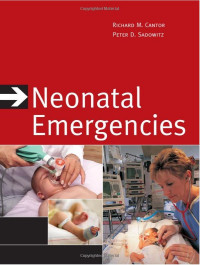 Image of Neonatal emergencies