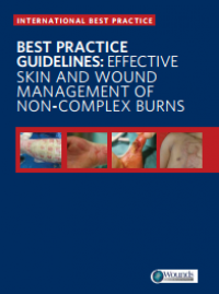 Best Practice Guidelines : Effective Skin and Wound Management of Non-Complex Burns