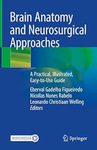 Brain anatomy and neurosurgical approaches : a practical, illustrated, easy-to-use guide