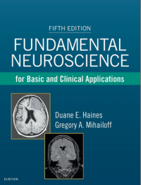 Fundamental Neuroscience for Basic and Clinical Applications 5th Edition