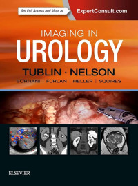 Imaging in urology / edited by Mitchell E. Tublin, Joel B. Nelson [and 4 others]