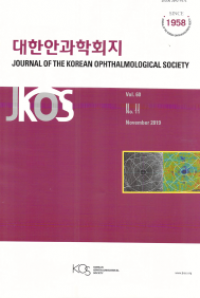Journal of The Korean Ophthalmological Society VOL. 60 NO. 11