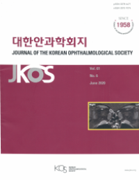 Journal of The Korean Ophthalmological Society VOL. 60 NO. 12
