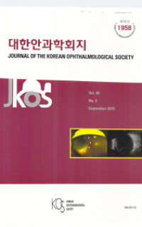 Journal of The Korean Ophthalmological Society VOL. 60 NO. 9