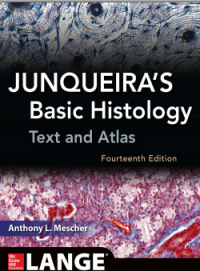 Junqueira's Basic Histology Text and Atlas 14th Edition