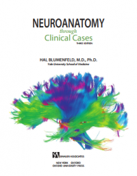 Neuroanatomy Through Clinical Cases 3rd Edition