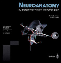 Neuroanatomy : 3D-stereoscopic atlas of the human brain