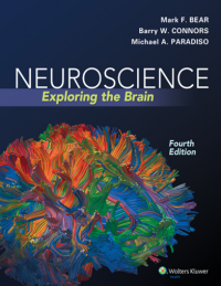 Neuroscience : Exploring the Brain 4th Edition