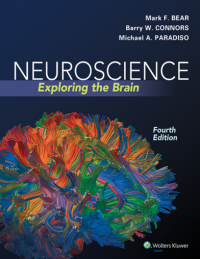 Image of Neuroscience : Exploring the Brain 4th Edition