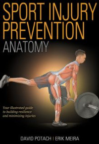 Sport Injury Prevention Anatomy