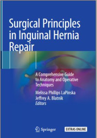 Surgical Principles in Inguinal Hernia Repair: A Comprehensive Guide to Anatomy and Operative Techniques
