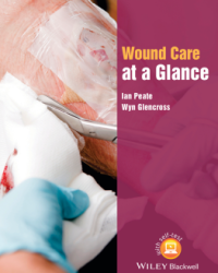 Wound Care at Glance