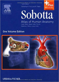 Sobotta atlas of human anatomy : head, neck, upper limb, thorax, abdomen, pelvis, lower limb., One vol. ed./ R. Putz and R. Pabst.