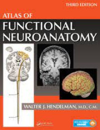 Atlas Of Functional Neuroanatomy : 3rd edition