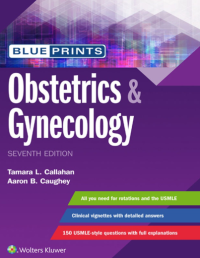 Blue Prints Obstetrics & Gynecology 7th Edition