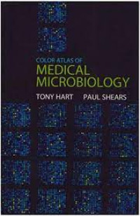 Image of Color atlas of Medical Microbiology