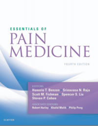 Essentials of Pain Medicine 4th Edition