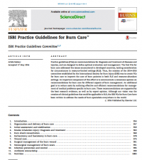 ISBI Practice Guidelines for Burn Care