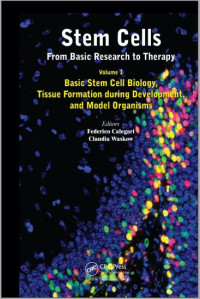 Stem Cells From Basic Research to Therapy Vol 1
