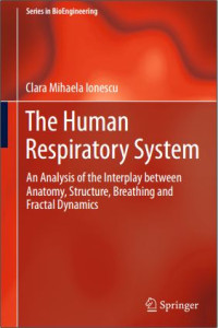 The Human Respiratory System: an analysis of the interplay between anatomy, structure, breathing and fractal dynamics