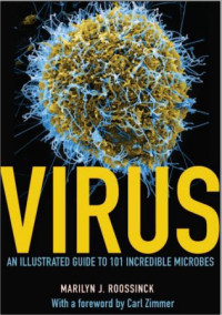 Virus: An Illustrated Guide to 101 Incredible Microbes/Marilyn J. Roossinck