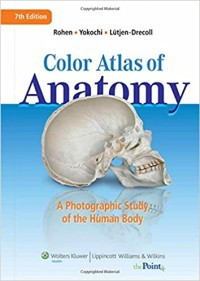 Color atlas of anatomy : a photographic study of the human body, 7th ed.  / Johannes W. Rohen, Chihiro Yokochi, Elke Lütjen-Drecoll.